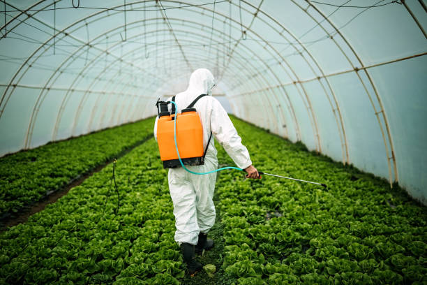 Best Exterminator Services  in Templeton, CA
