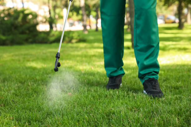 Trusted Templeton, CA Pest Control Experts