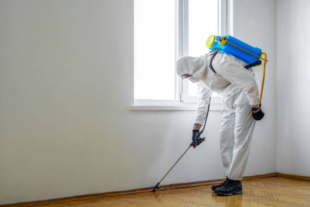 Pest Prevention Services in Templeton, CA