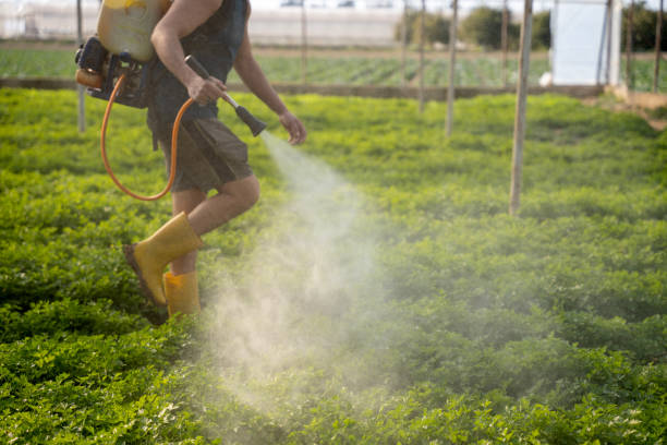 Best Flea Control Services  in Templeton, CA