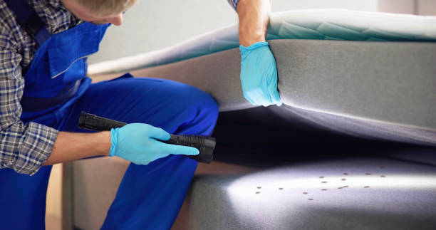 Best Local Pest Control Services  in Templeton, CA