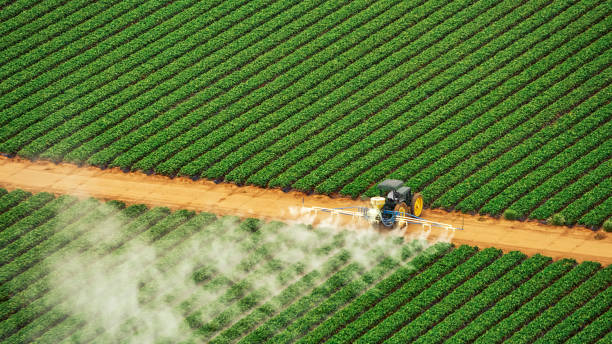 Best Ant Control Services  in Templeton, CA