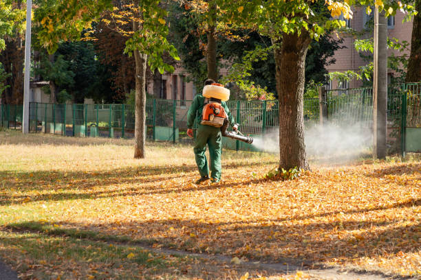 Pest Control Cost in Templeton, CA