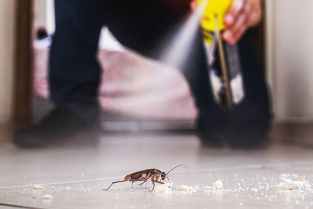 Best Commercial Pest Control Services  in Templeton, CA
